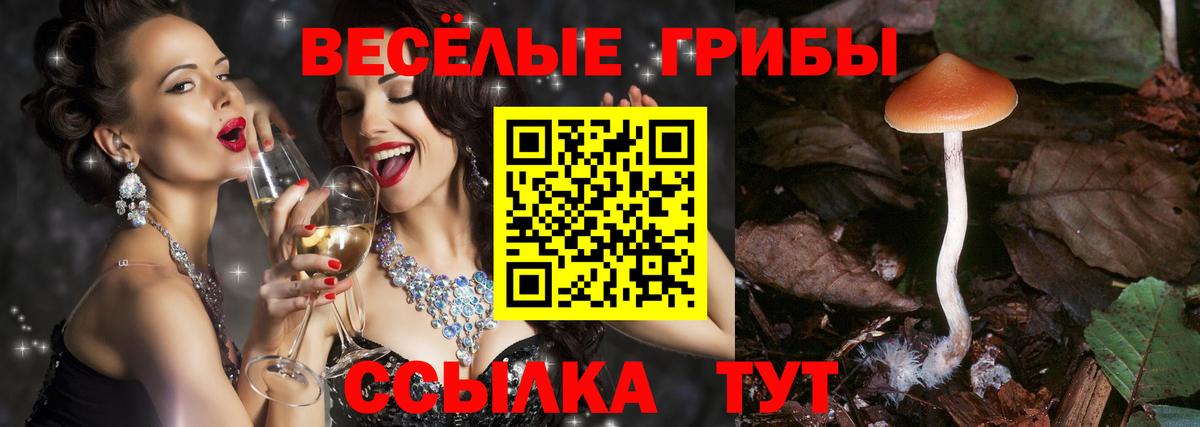 Галлюциногенные грибы GOLDEN TEACHER  Вход с VPN  Можайск 